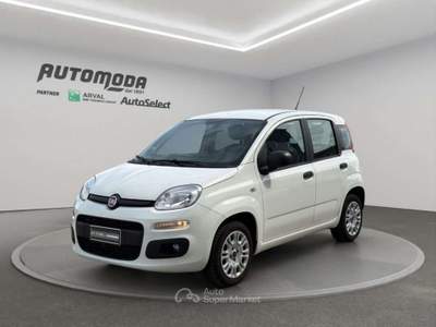 Fiat Panda 1.2bz van 4 posti Bianco usata San Miniato