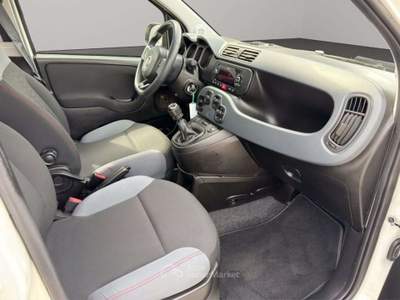 Fiat Panda 1.2bz van 4 posti Bianco usata San Miniato