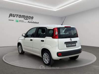 Fiat Panda 1.2bz van 4 posti Bianco usata San Miniato