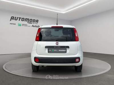 Fiat Panda 1.2bz van 4 posti Bianco usata San Miniato