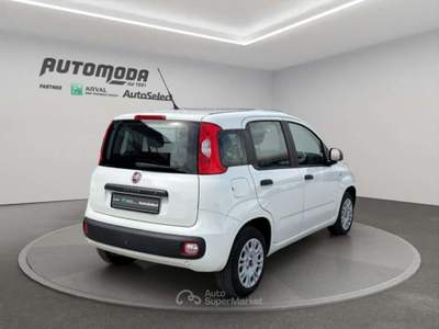Fiat Panda 1.2bz van 4 posti Bianco usata San Miniato