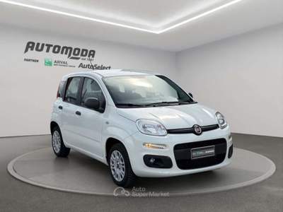Fiat Panda 1.2bz van 4 posti Bianco usata San Miniato
