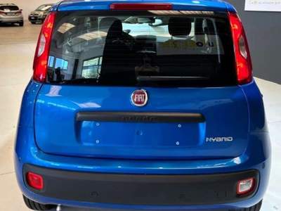 Fiat Panda Pandina 1.0 FireFly 65 CV Hybrid Icon Blu/Azzurro usata Rondissone