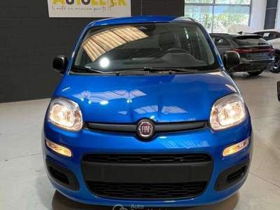 Fiat Panda Pandina 1.0 FireFly 65 CV Hybrid Icon Blu/Azzurro usata Rondissone