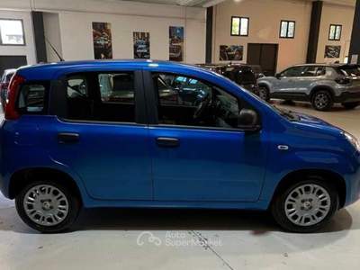 Fiat Panda Pandina 1.0 FireFly 65 CV Hybrid Icon Blu/Azzurro usata Rondissone
