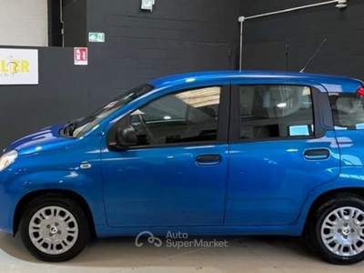 Fiat Panda Pandina 1.0 FireFly 65 CV Hybrid Icon Blu/Azzurro usata Rondissone