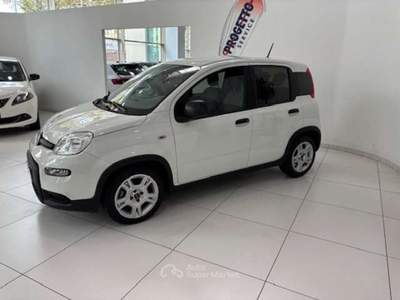 Fiat Panda Panda 1.0 firefly hybrid City Life s Bianco usata Torino