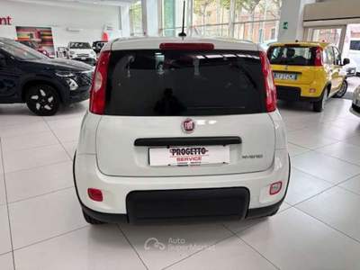 Fiat Panda Panda 1.0 firefly hybrid City Life s Bianco usata Torino