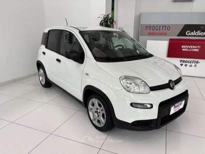 Fiat Panda Panda 1.0 firefly hybrid City Life s Bianco usata Torino