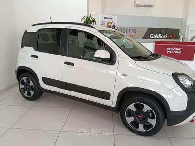 Fiat Panda Panda III 2021 Cross 1.0 firefly hybrid Cross s Bianco usata Torino