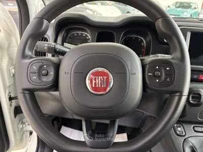 Fiat Panda Panda III 2021 Cross 1.0 firefly hybrid Cross s Bianco usata Torino