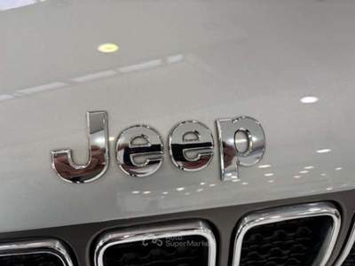 Jeep Renegade Renegade 2019 1.0 t3 Limited 2wd Grigio usata Torino