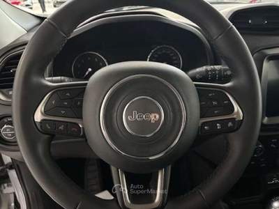 Jeep Renegade Renegade 2019 1.0 t3 Limited 2wd Grigio usata Torino