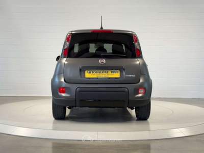 Fiat Panda 1.0FireFly Hybrid Sport NEOPATENTATI/PREZZO REALE Grigio usata San Biagio di Callalta