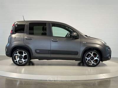 Fiat Panda 1.0FireFly Hybrid Sport NEOPATENTATI/PREZZO REALE Grigio usata San Biagio di Callalta