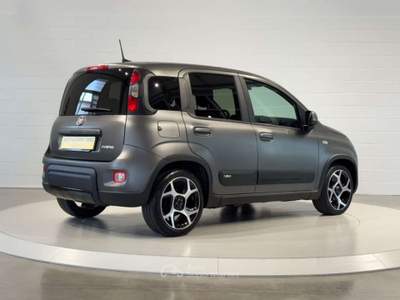 Fiat Panda 1.0FireFly Hybrid Sport NEOPATENTATI/PREZZO REALE Grigio usata San Biagio di Callalta