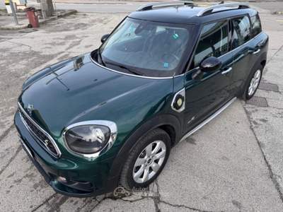 MINI Countryman 1.5 Cooper SE Countryman ALL4 Automatica Verde usata San Miniato