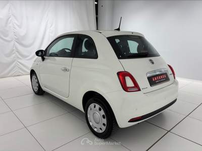 Fiat 500 500 1.0 hybrid cult 70cv Bianco usata Settimo Torinese