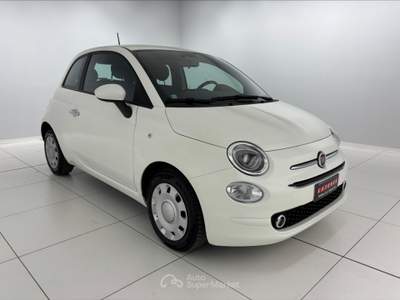 Fiat 500 500 1.0 hybrid cult 70cv Bianco usata Settimo Torinese