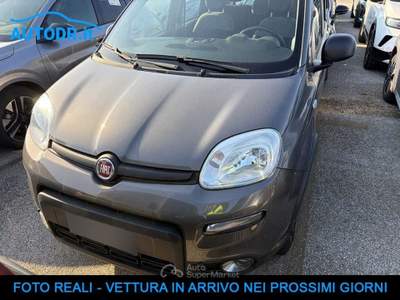 Fiat Panda 0.9 TwinAir Turbo Natural Power City Life 5posti Grigio usata Monte San Giusto