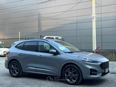 Ford Kuga 1.5 EcoBlue 120 CV aut. 2WD ST-Line X Grigio usata Massarosa