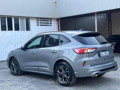 Ford Kuga 1.5 EcoBlue 120 CV aut. 2WD ST-Line X Grigio usata Massarosa
