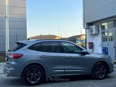 Ford Kuga 1.5 EcoBlue 120 CV aut. 2WD ST-Line X Grigio usata Massarosa