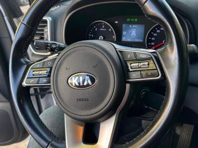 Kia Sportage Tecnologia ibrida, comfort e design sportivo Bianco usata Nardò