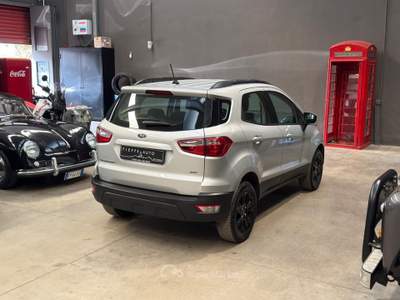 Ford EcoSport 1.5 Ecoblue 125 CV Start&Stop AWD Business Argento usata Bologna
