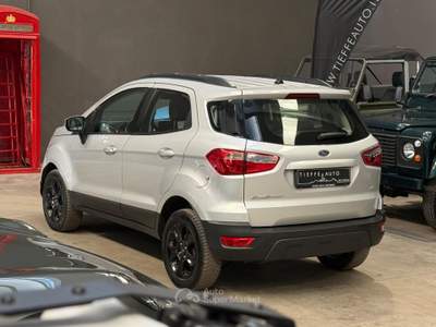 Ford EcoSport 1.5 Ecoblue 125 CV Start&Stop AWD Business Argento usata Bologna