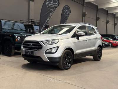 Ford EcoSport 1.5 Ecoblue 125 CV Start&Stop AWD Business Argento usata Bologna