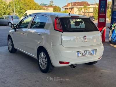Fiat Punto Fiat Punto GPL Bianco usata Formia