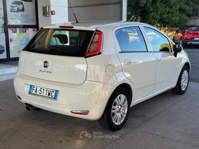 Fiat Punto Fiat Punto GPL Bianco usata Formia