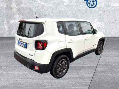 Jeep Renegade Renegade 1.6 Mjt 130 CV Longitude Bianco usata Laterina