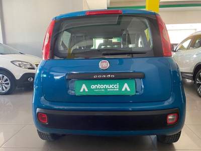 Fiat Panda  Blu/Azzurro usata Pulsano