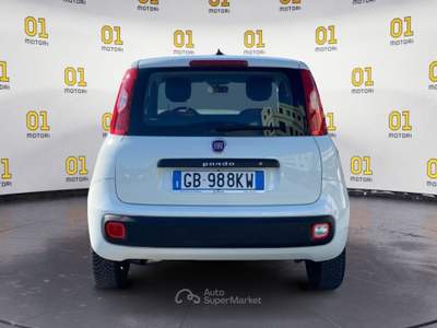 Fiat Panda 1.2 69cv S&S E6d-Temp Pop Bianco usata Pisa