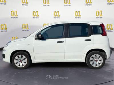 Fiat Panda 1.2 69cv S&S E6d-Temp Pop Bianco usata Pisa