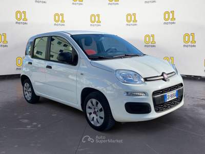 Fiat Panda 1.2 69cv S&S E6d-Temp Pop Bianco usata Pisa