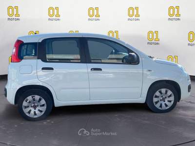 Fiat Panda 1.2 69cv S&S E6d-Temp Pop Bianco usata Pisa