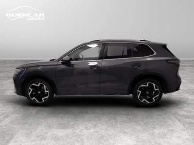 Volkswagen Tiguan 2.0 TDI SCR EVO R-Line Grigio usata Lucca