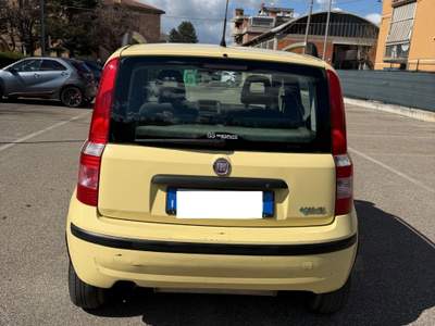 Fiat Panda Fiat Panda 1.2 METANO - NEOPATENTATI - usata ARGELATO