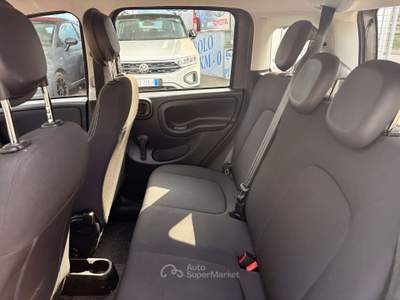 Fiat Panda 69cv Grigio usata Roma