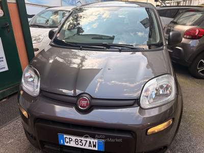 Fiat Panda 69cv Grigio usata Roma