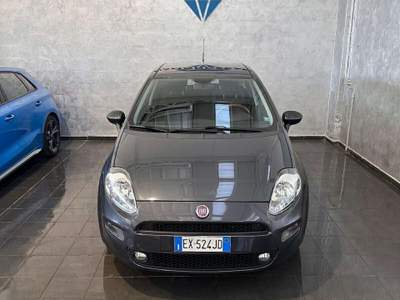 Fiat Punto Punto 1.3 MJT II 75 CV 5 porte Street Grigio usata Cornaredo