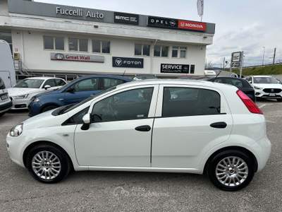 Fiat Punto 5p 1.3 MJT Street s Bianco usata Foligno