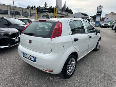 Fiat Punto 5p 1.3 MJT Street s Bianco usata Foligno
