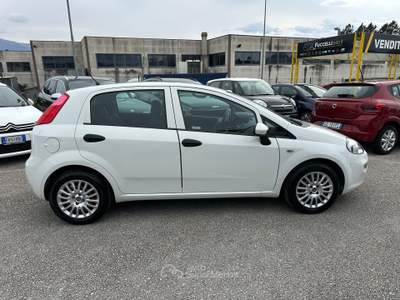 Fiat Punto 5p 1.3 MJT Street s Bianco usata Foligno