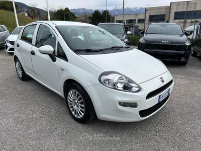 Fiat Punto 5p 1.3 MJT Street s Bianco usata Foligno