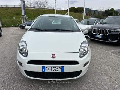 Fiat Punto 5p 1.3 MJT Street s Bianco usata Foligno