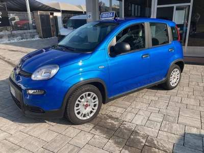 Fiat Panda Panda III 2021 1.0 firefly hybrid s Blu/Azzurro usata Mariano Comense